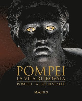 bokomslag Pompeii