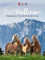bokomslag Der Haflinger