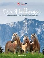 Der Haflinger 1