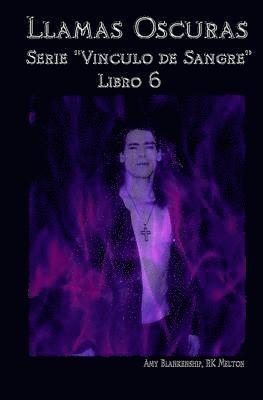 bokomslag Llamas Oscuras