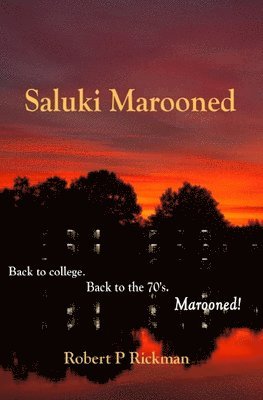 Saluki Marooned 1