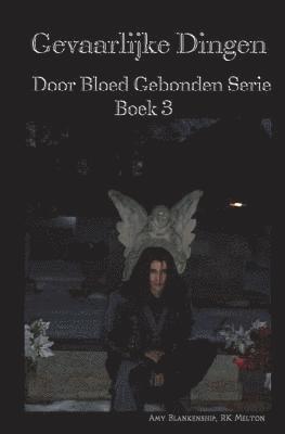 Amy Blankenship - Gevaarlijke Dingen, Häftad