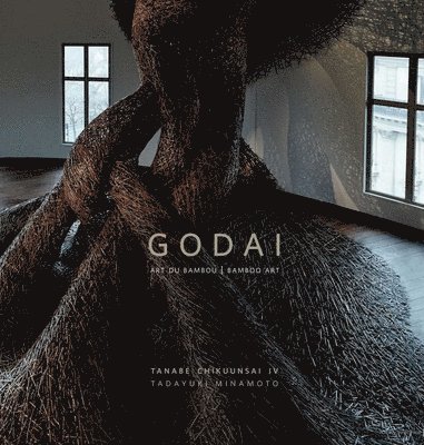 bokomslag Godai