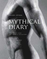 bokomslag Mythical Diary