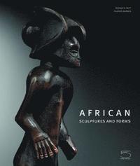bokomslag African Sculptures and Forms