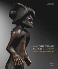 bokomslag African Sculptures and Forms