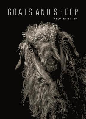 Goats and Sheep. A Portrait Farm