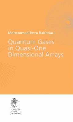 bokomslag Quantum Gases in Quasi-One-Dimensional Arrays