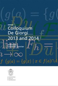 bokomslag Colloquium De Giorgi 2013 and 2014