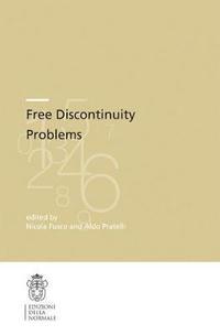 bokomslag Free Discontinuity Problems