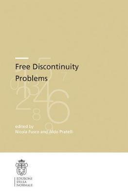 Free Discontinuity Problems 1