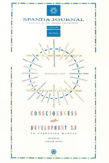 bokomslag Consciousness & Development 2.0