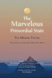 bokomslag The Marvelous Primordial State
