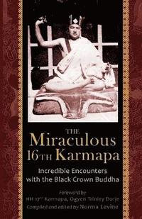 bokomslag The Miraculous 16th Karmapa