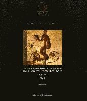 Antonio Varone - Titulorum Graphio Exaratorum Qui in C.I.L. Volume IV: Collecti Sunt Imagines I-II, Häftad