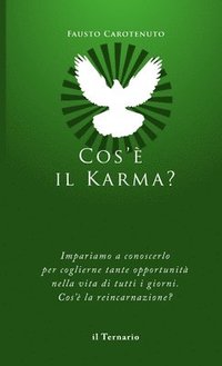bokomslag Cos'è il Karma?