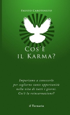 Cos' il Karma? 1