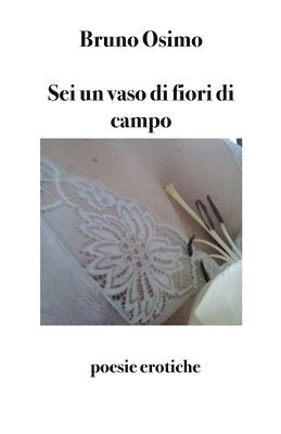 Sei un vaso di fiori di campo