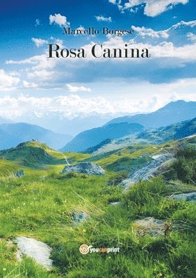 Rosa canina 1