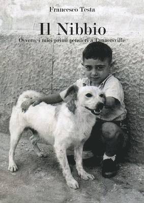 Il Nibbio 1