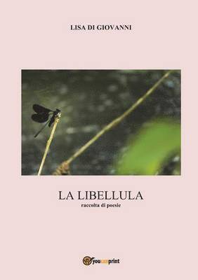 bokomslag libellula. Raccolta di poesie
