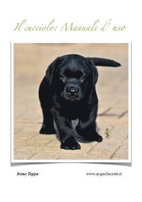 Irene Teppa - cucciolo, Häftad