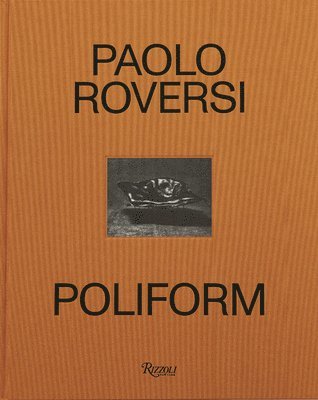 bokomslag Paolo Roversi: Poliform