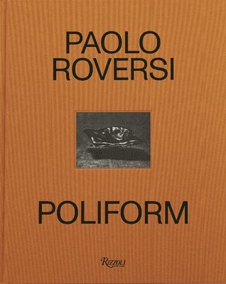 Paolo Roversi: Poliform 1