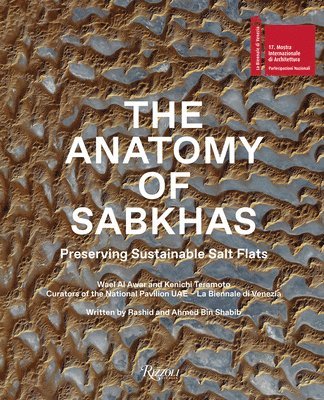 bokomslag The Anatomy of Sabkhas