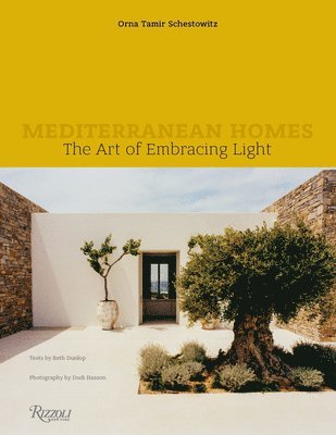 Mediterranean Homes 1