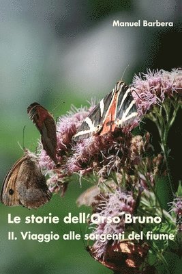 bokomslag Le storie dell'Orso Bruno. II. Viaggio alle sorgenti del fiume