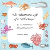 bokomslag The Adventurous Life of a Little Octopus - La Vita Avventurosa di un Piccolo Polpo