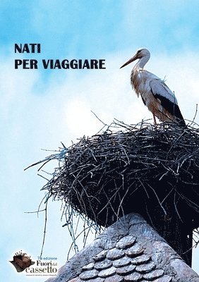 Associazione Testi&testi - Nati per viaggiare, Häftad