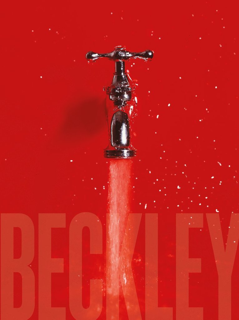 David Carrier, Andrea Viliani - Bill Beckley and Narrative Art, Inbunden