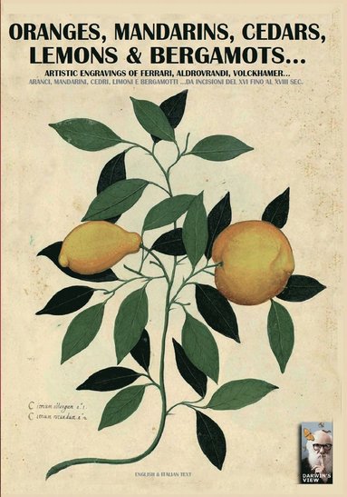 Luca Stefano Cristini - Oranges, mandarins, cedars, lemons & bergamots.., Häftad