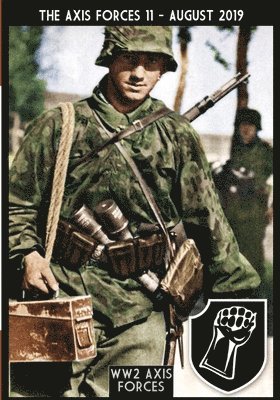 bokomslag Axis Forces 11