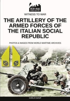 bokomslag artillery of the Armed Forces of the Italian Social Republic