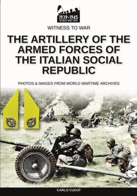 The artillery of the Armed Forces of the Italian Social Republic 1