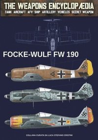 bokomslag Focke Wulf FW-190