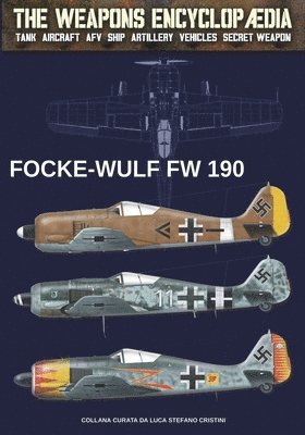 Focke Wulf FW-190 1