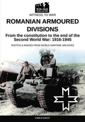 Romanian armoured divisions 1