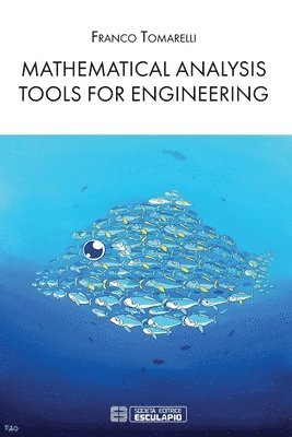 bokomslag Mathematical Analysis Tools for Engineering