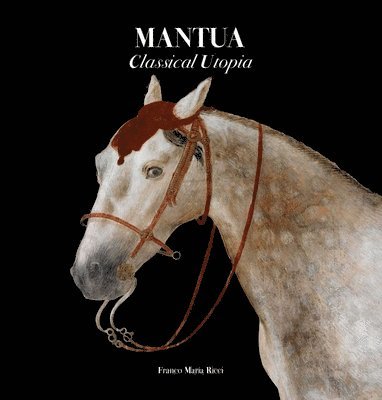bokomslag Mantua: Classical Utopia