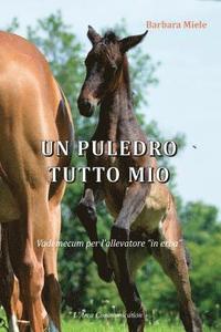 bokomslag Un puledro tutto mio: Vademecum per l'allevatore "in erba"