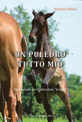 bokomslag Un puledro tutto mio: Vademecum per l'allevatore "in erba"