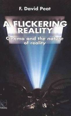 bokomslag Flickering Reality