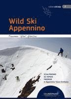 bokomslag Wild Ski Appennino