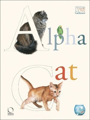 bokomslag Alpha Cat
