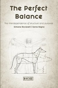 bokomslag Perfect Balance