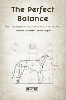 bokomslag Perfect Balance